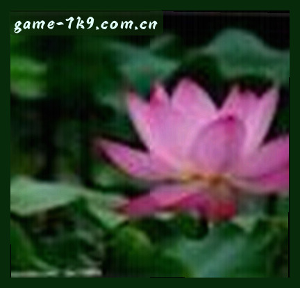 孙丽